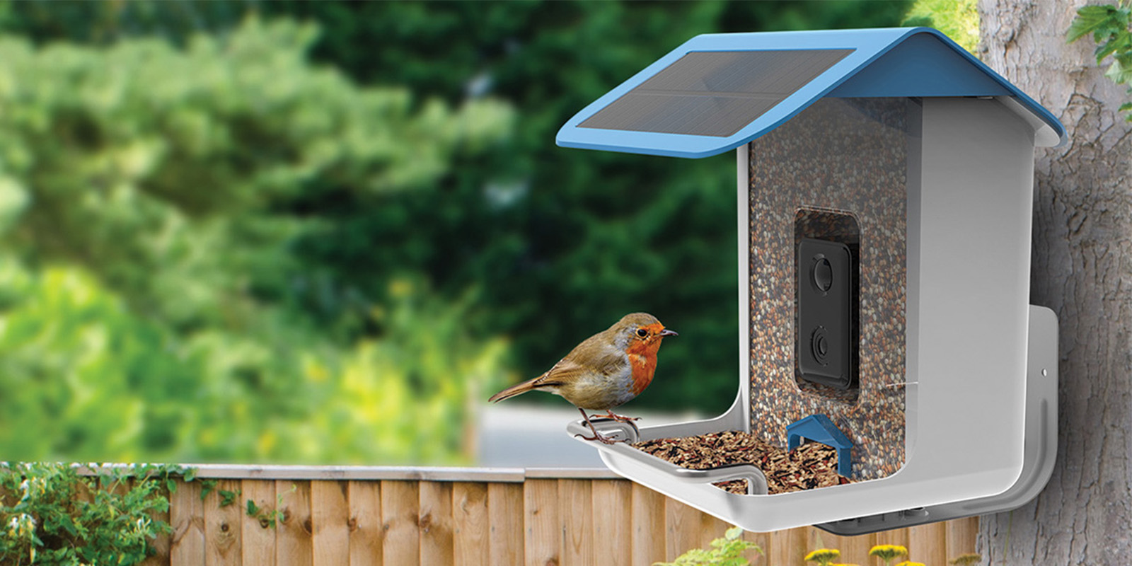 Inteligentne karmniki dla ptaków - nowoczesna technologia dla natury