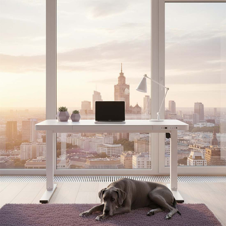 Spacetronik elektrischer Schreibtisch SPE-B128BG Astrid