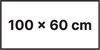 100x60 Proste