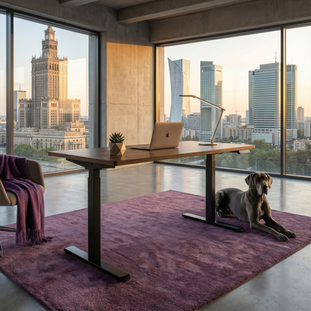 Spacetronik SPE-114RB elektrischer Tischständer