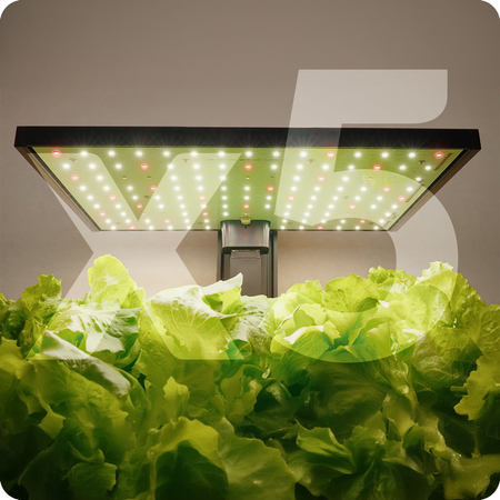 Topfschublade SPGC22GO-SET1