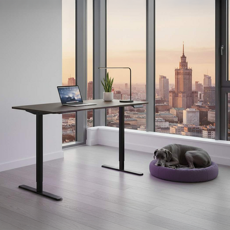 Spacetronik Moris 121BT 120x60 elektrischer Schreibtisch, Gestell schwarz, Platte dunkles Holz