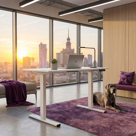 Biurko Elektryczne Białe 100x60 SPEO125WW Kompaktowe i Stylowe