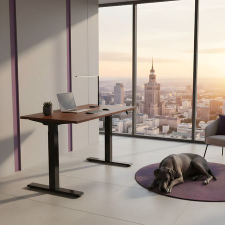 Elektrischer Schreibtischständer SPE-214AB USB