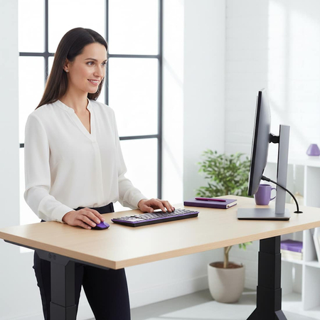 Elektryczny stelaż biurkowy Spacetronik SPE-239OW